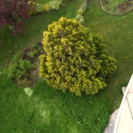 Private Appartement Năvodari